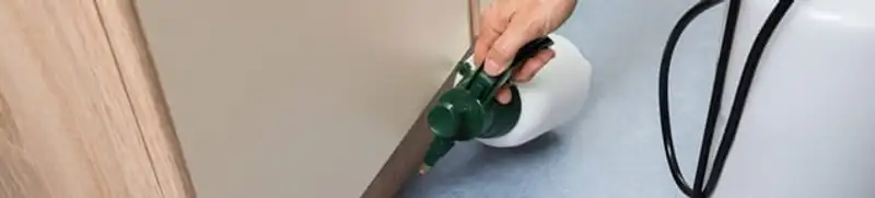 Bed bug exterminator treating baseboards and cracks with targeted spray in Charlotte, NC