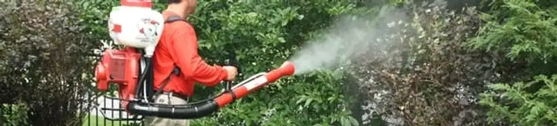 Mosquito control technician fogging shrubs and landscaping for mosquito treatment in Charlotte, NC