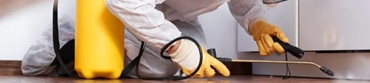 Roach exterminator treating cracks and crevices along kitchen baseboards in Charlotte, NC