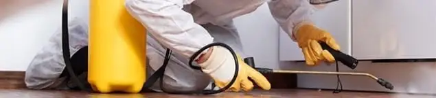 Roach exterminator treating cracks and crevices along kitchen baseboards in Charlotte, NC