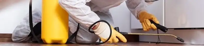 Roach exterminator treating cracks and crevices along kitchen baseboards in Charlotte, NC