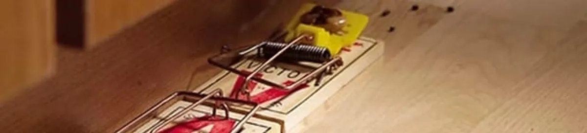 Rodent trap set indoors for rodent control and prevention in Charlotte, NC